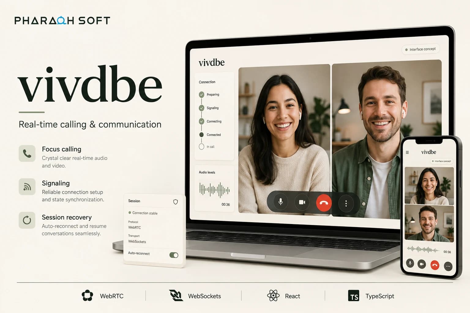 vivdbe overview with audio and video calling, session controls, and WebRTC and WebSocket interface concepts.