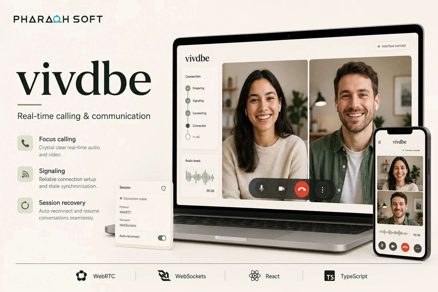 vivdbe overview with audio and video calling, session controls, and WebRTC and WebSocket interface concepts.